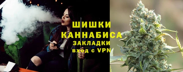 spice Инсар