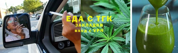 прущие грибы Инта