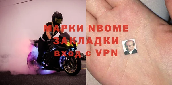 прущие грибы Инта