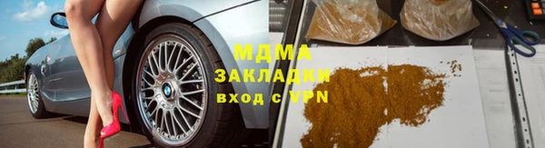 прущие грибы Инта