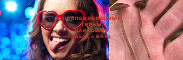 spice Инсар
