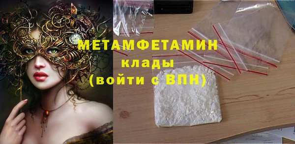 прущие грибы Инта