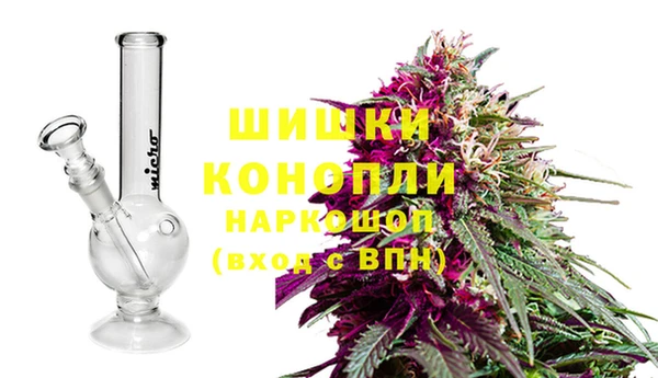 соль ск Иннополис