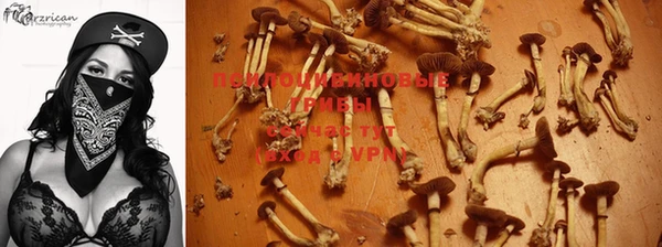 соль ск Иннополис