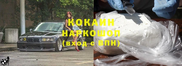 прущие грибы Инта